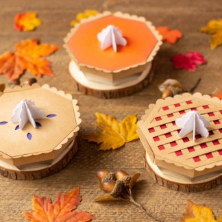 3D Pie Gift Box SVG Cut File Bundle - Pumpkin Pie, Lattice Pie, Traditional Pie Designs